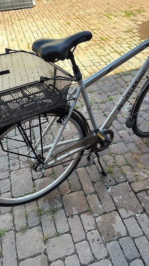 Bergamont Satelite Trekkingrad mit Rücktrittbremse und 2 Einkaufskörbe  Bild 5