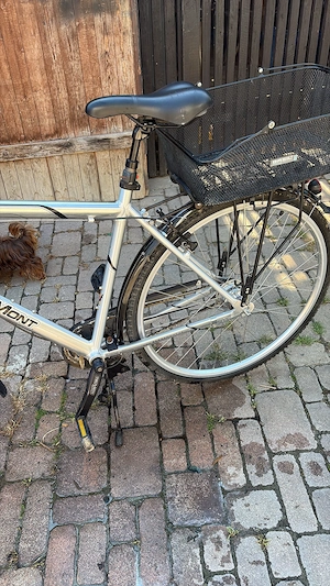 Bergamont Satelite Trekkingrad mit Rücktrittbremse und 2 Einkaufskörbe  Bild 2