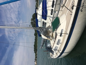  Hurley 800 wegen aufgabe des Segelsportes zu verkaufen Bild 3