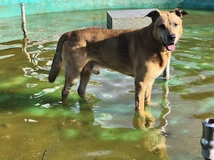 buddy sucht mädels