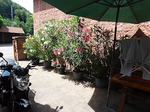 Verkaufe  Motorrad   YamahaRJ14