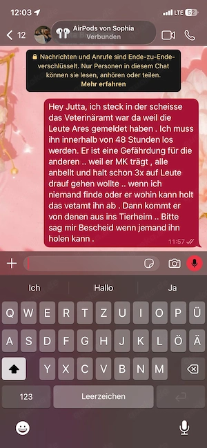 Ganz dringend zur Abgabe 