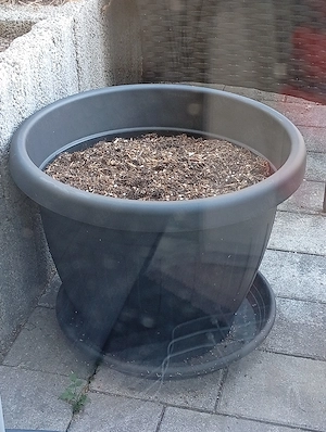 Blumentopf mit Erde