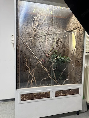 Terrarium zu verkaufen