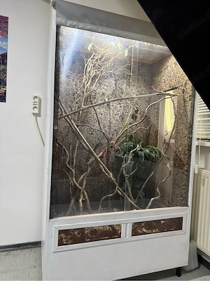 Terrarium 