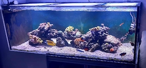 meresswasser aqarium