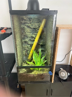 terrarium exo terra 