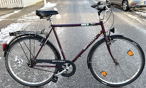 SURSEE Tigra 7-Gang Herren Cityrad, 28 : RH 59 cm, 3 Bremsen, verkehrssicher