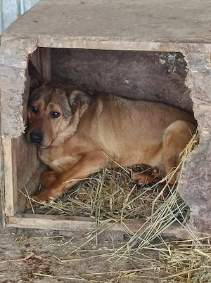 Ella G ca. 50 cm   die Geduldige