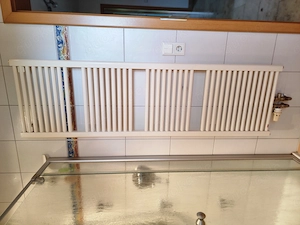  	Heizkörper Marke Bemm 1,7m hoch, 0,5m breit, 3cm tief (ohne Thermostat)