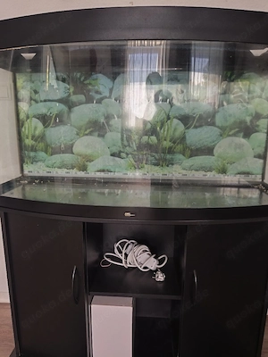 Aquarium mit Zubehör 