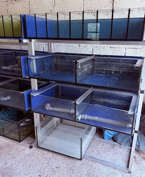 Aquarienanlage,  Top Qualität super für z.b. L-Welse
