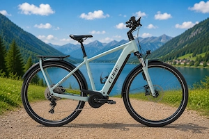 Cube eBike Bosch Performance Line CX Gen5 100Nm Kiox500 PowerTube 800 ABS