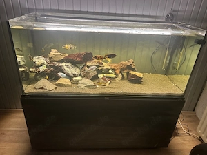 Aquarium 300 Liter