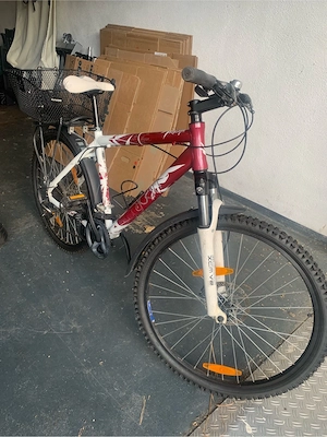 Mountainbike 26 Zoll
