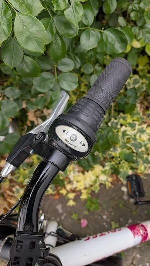 Mädchenfahrrad  Marke Falter 24 Zoll  white berry