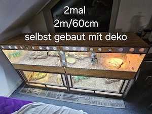 bardagamen und terras 