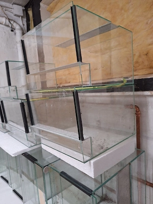 Terrarium aus Glais 
