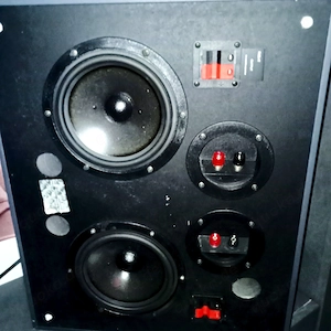 Revox D-Bass Subwoofer-Modul
