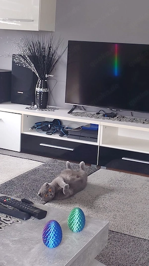 Mina sucht ein liebevolles Zuhause 
