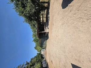 Offenstall Stellplatz 