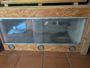 Terrarium zu verschenken 