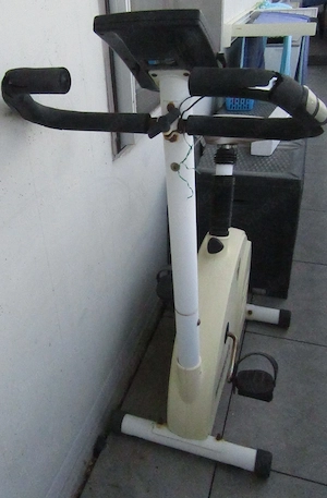 Trimmrad für Bastler