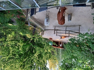 Offenstallplatz, Höhenlage von Murrhardt-Käsbach