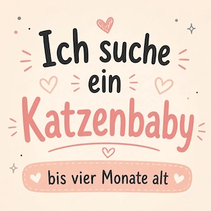 wir suchen eine Baby Katze 