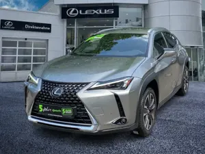 Lexus UX 250h UX 250 h Style Edition zuverlässiger GW