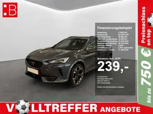CUPRA Formentor 2.0 TSI DSG 4Drive VZ Kamera+ACC+Navi+19