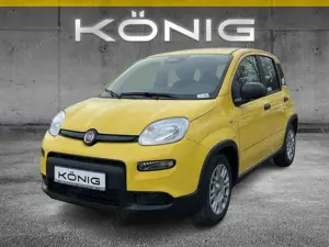 Fiat Panda MY25 1.0 Klima PDC Citypaket