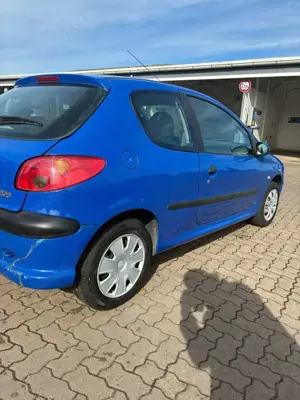 Peugeot 206 75 Petit Filou