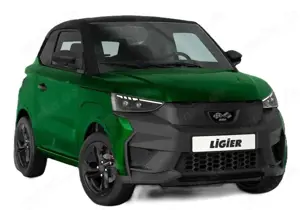 Ligier JS 50 Elite*RFK*Android/Apple-Carplay*Servo*Trennwand