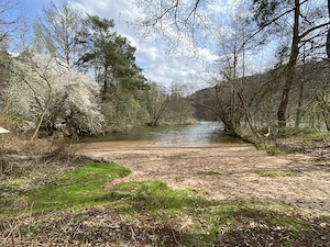Spaß am See und im Bett