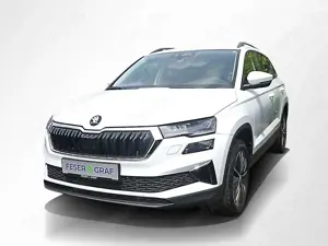 Skoda Karoq 1.5 TSI Balance DSG AHK Navi RüKa Sitzh.