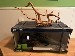 Dennerle Nano Tank 60 L Komplettset + große Aquascaping-Wurzel   NEU & OVP