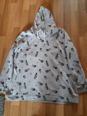 Kapuzenpullover grau mit Federn 