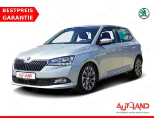 Skoda Fabia 1.0 Clever PDC ACC SmartLink Sitzheizung
