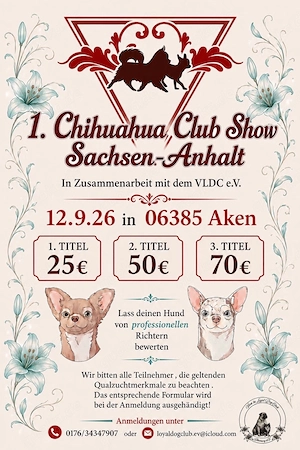 Sonderausstellung für Chihuahuas