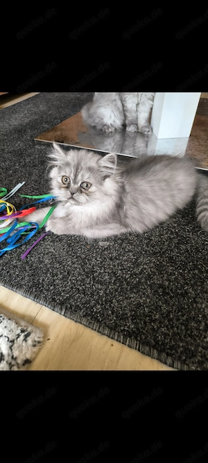 Perser Baby Mädchen