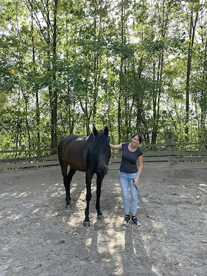 Mobile Pferdetrainerin   Natural Horsemanship