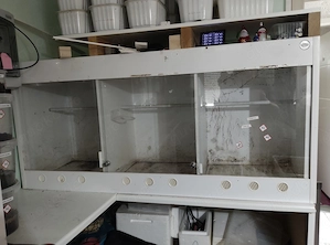 Kunststoffterra 150x50x70 lbh