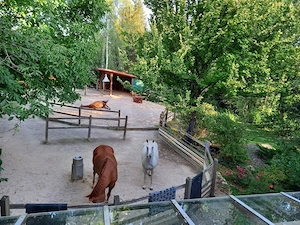 Offenstallplatz, Höhenlage von Murrhardt-Käsbach