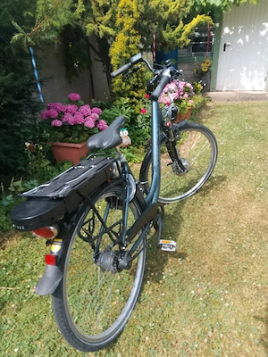 Ich verkaufe mein E-Bike,28 zoll , 8 Gang  Nabenschaltung