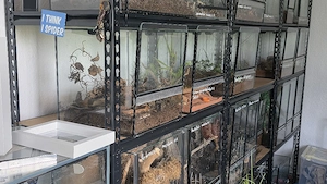 terrarien siehe veschreibung auch einzel verkauf 