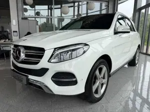 Mercedes-Benz GLE 350 d 4Matic Active Curve+PANO+AIRMATIC+360°