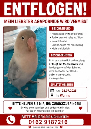 Vogel vermisst