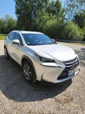 Lexus NX 300h
