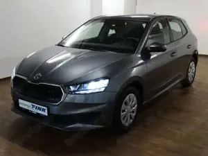Skoda Fabia Active 1.0 MPI  Metallic SHZ, PDC hinten, Klima